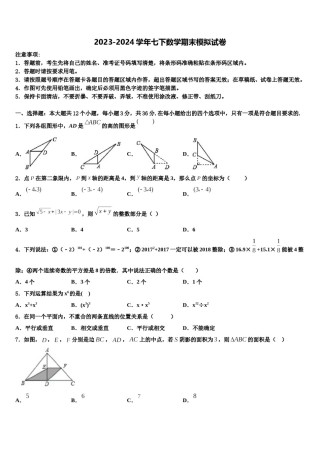 湖北武汉一初慧泉中学2024届七年级数学第二学期期末达标检测试题含解析.doc