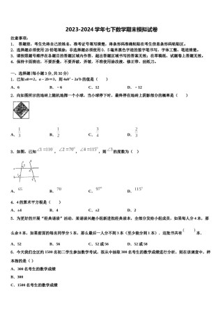 湖北省咸宁市赤壁市第一初级中学2024届七年级数学第二学期期末学业水平测试模拟试题含解析.doc