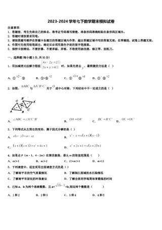 湖北省孝感市孝南区十校联谊2024年七年级数学第二学期期末综合测试模拟试题含解析.doc