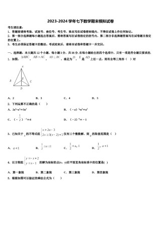 湖北省孝感市孝南区肖港镇肖港初级中学2023-2024学年七年级数学第二学期期末检测模拟试题含解析.doc