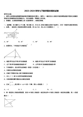 湖北省宜昌市当阳市2024届七下数学期末复习检测试题含解析.doc