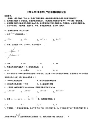 湖北省宣恩县2024届七下数学期末达标检测模拟试题含解析.doc