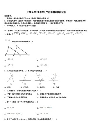 湖北省武汉十三中学2024届七年级数学第二学期期末考试模拟试题含解析.doc