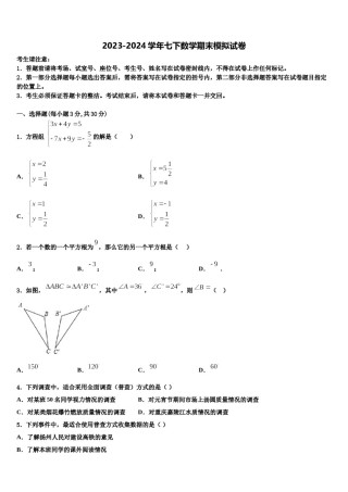 湖北省武汉市武昌区C组联盟2024年七下数学期末达标检测试题含解析.doc