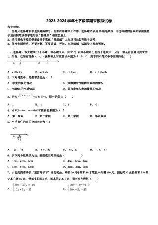 湖北省武汉市第三中学2024届数学七下期末考试模拟试题含解析.doc