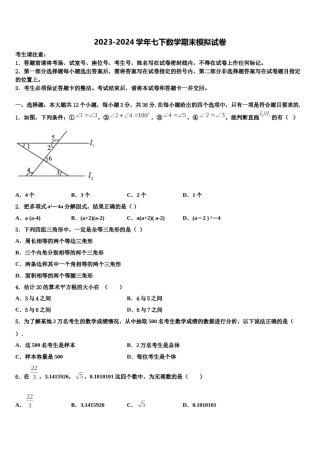 湖北省武汉新洲区五校联考2023-2024学年七年级数学第二学期期末学业水平测试模拟试题含解析.doc