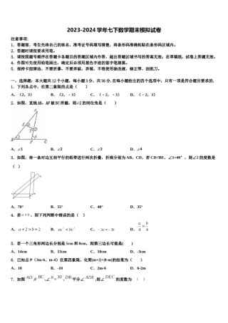 湖北省武汉钢城第十一中学2023-2024学年七下数学期末达标检测试题含解析.doc