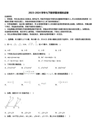 湖北省麻城思源学校2024年七年级数学第二学期期末经典试题含解析.doc