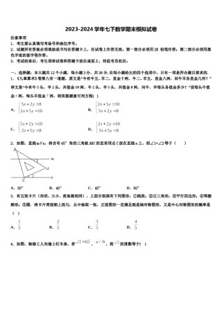 湖南省娄底市2024年七年级数学第二学期期末学业质量监测模拟试题含解析.doc