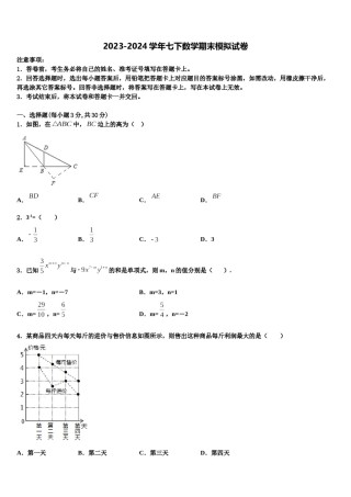 湖南省岳阳临湘市2024届七年级数学第二学期期末检测模拟试题含解析.doc