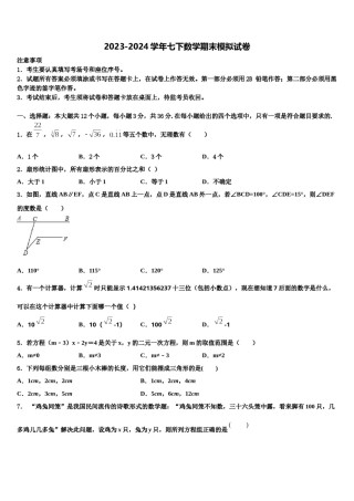 湖南省永州市冷水滩区2023-2024学年七下数学期末调研模拟试题含解析.doc