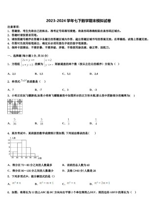 湖南省永州市祁阳县2024年数学七下期末学业质量监测试题含解析.doc