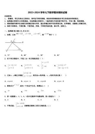 湖南省湘潭市2024年七下数学期末达标检测模拟试题含解析.doc