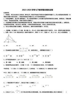 湖南省衡阳市2023-2024学年七下数学期末检测模拟试题含解析.doc