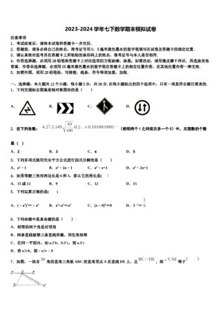 湖南省衡阳市第九中学2023-2024学年七年级数学第二学期期末质量跟踪监视试题含解析.doc