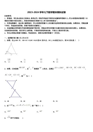 湖南省衡阳市部分中学2024届数学七下期末质量检测模拟试题含解析.doc