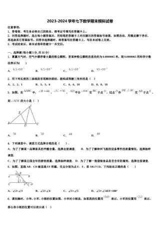 湖南省邵阳市新邵县2023-2024学年七年级数学第二学期期末学业质量监测试题含解析.doc
