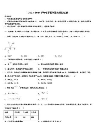 湖南省郴州市北湖区鲁塘中学2024届数学七下期末调研模拟试题含解析.doc