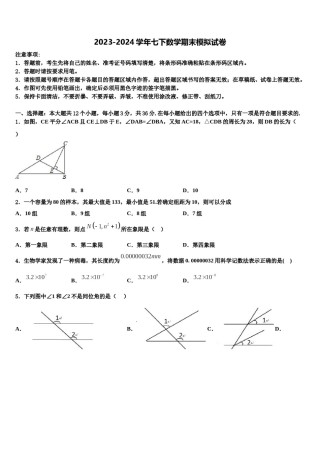湖南省重点中学2024届七下数学期末综合测试试题含解析.doc