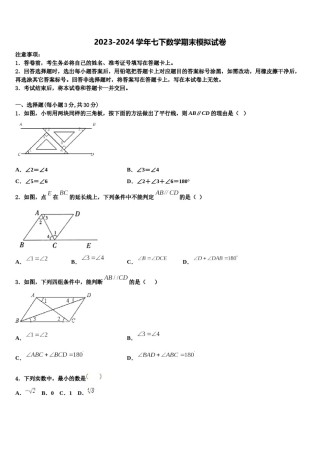 湖南省长沙五中学2024届七年级数学第二学期期末考试模拟试题含解析.doc
