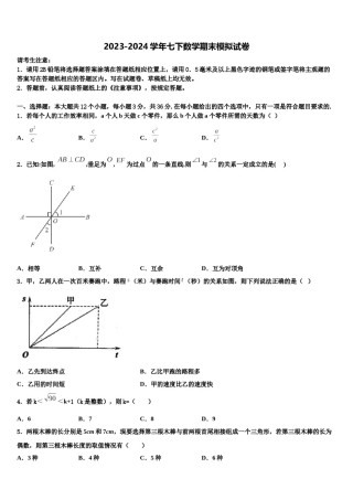 湖南省长沙市岳麓区长郡梅溪湖2024届七年级数学第二学期期末综合测试模拟试题含解析.doc