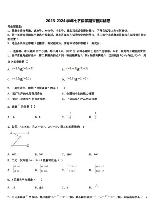 湖南省长沙市明徳旗舰2023-2024学年七年级数学第二学期期末检测试题含解析.doc