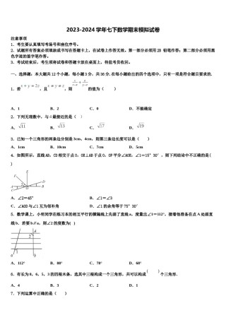 湖南省长沙市浏阳市2023-2024学年七年级数学第二学期期末监测模拟试题含解析.doc