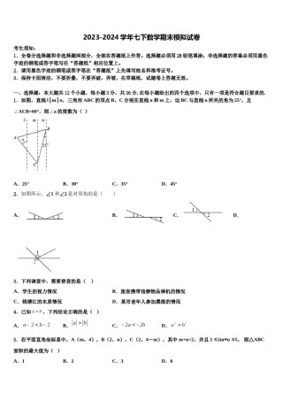 湖南省长沙市湘一芙蓉、一中学双语学校2023-2024学年七下数学期末学业质量监测试题含解析.doc