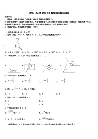 湖南省长沙市田家炳实验中学2023-2024学年数学七下期末联考模拟试题含解析.doc