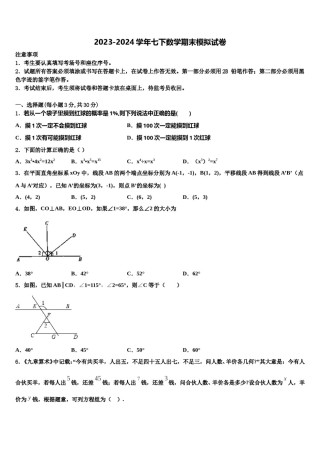 湖南省长沙市长沙天心区青雅丽发学校2023-2024学年七年级数学第二学期期末综合测试试题含解析.doc