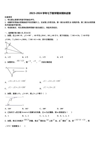 湖南省长沙市长沙天心区青雅丽发学校2024年数学七下期末质量跟踪监视模拟试题含解析.doc