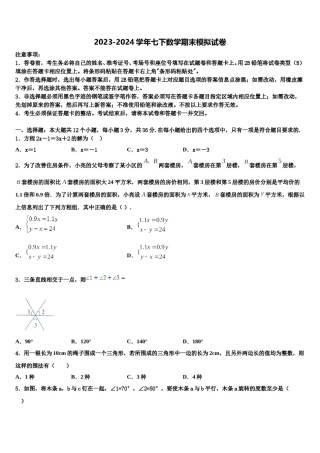 湖南省长沙市雅礼教育集团2024届七年级数学第二学期期末综合测试试题含解析.doc