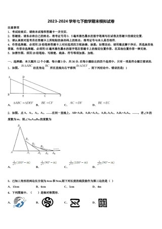 湖南省长郡教育集团2023-2024学年七下数学期末考试模拟试题含解析.doc