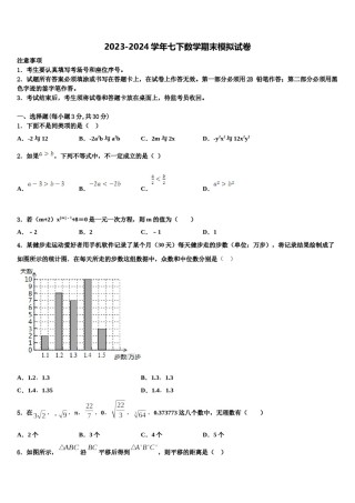 湖南长沙一中学岳麓中学2023-2024学年数学七下期末复习检测试题含解析.doc