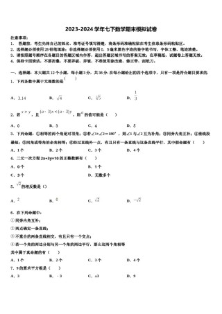 湖南长沙市南雅中学2024届七下数学期末教学质量检测试题含解析.doc