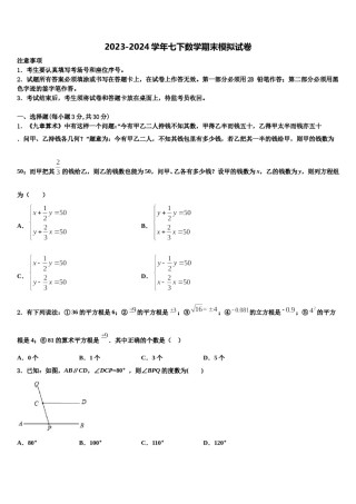湛江市重点中学2023-2024学年七下数学期末考试试题含解析.doc
