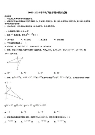 甘肃省嘉峪关市2024届七年级数学第二学期期末考试试题含解析.doc