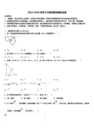 甘肃省定西市名校2024届七下数学期末联考模拟试题含解析.doc
