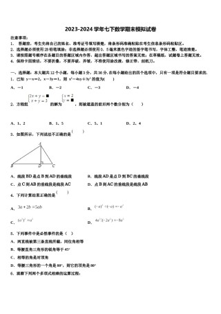 甘肃省平凉市铁路中学2023-2024学年七年级数学第二学期期末质量检测模拟试题含解析.doc