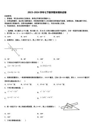 甘肃省武威市武威第八中学2024年七年级数学第二学期期末学业质量监测模拟试题含解析.doc