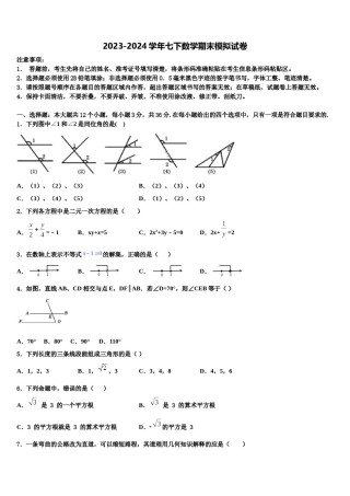 甘肃省民乐县2024届七下数学期末监测模拟试题含解析.doc