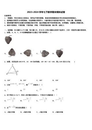 甘肃省白银市名校2024届数学七下期末学业水平测试模拟试题含解析.doc