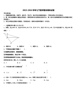 甘肃省秦安县2024年七年级数学第二学期期末经典试题含解析.doc