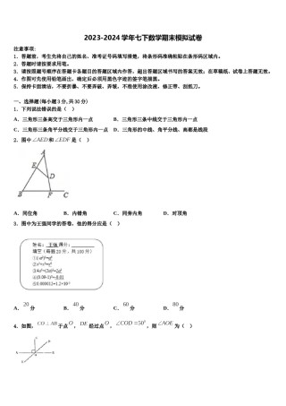 甘肃省酒泉市2024年数学七下期末学业水平测试模拟试题含解析.doc