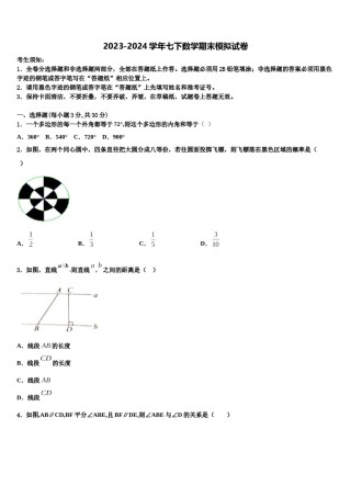 白银市重点中学2024届七下数学期末复习检测模拟试题含解析.doc