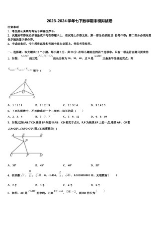 盐城市亭湖区2024届七下数学期末综合测试模拟试题含解析.doc