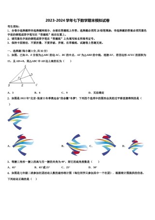 福建厦门大同中学2024届七下数学期末复习检测模拟试题含解析.doc