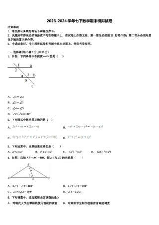 福建省华安中学2024年数学七下期末检测试题含解析.doc
