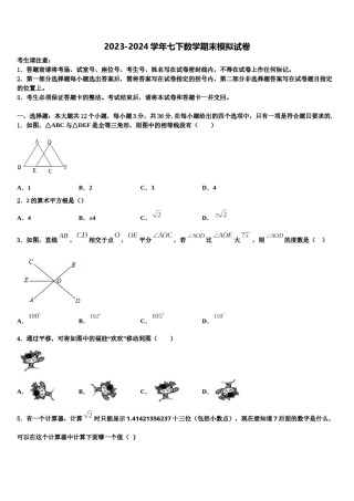 福建省厦门市第六中学2024年七年级数学第二学期期末调研模拟试题含解析.doc