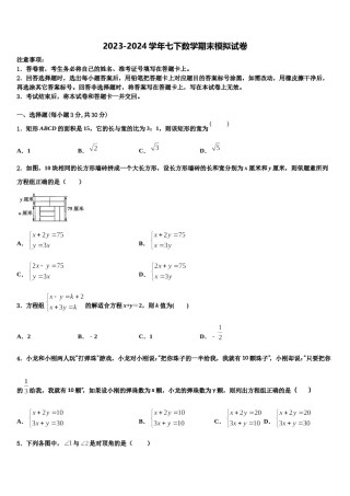 福建省平和县2024届数学七下期末学业质量监测模拟试题含解析.doc